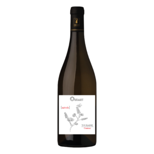 Domaine Oudart Touraine Gamay